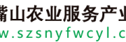 石嘴山农业服务产业链